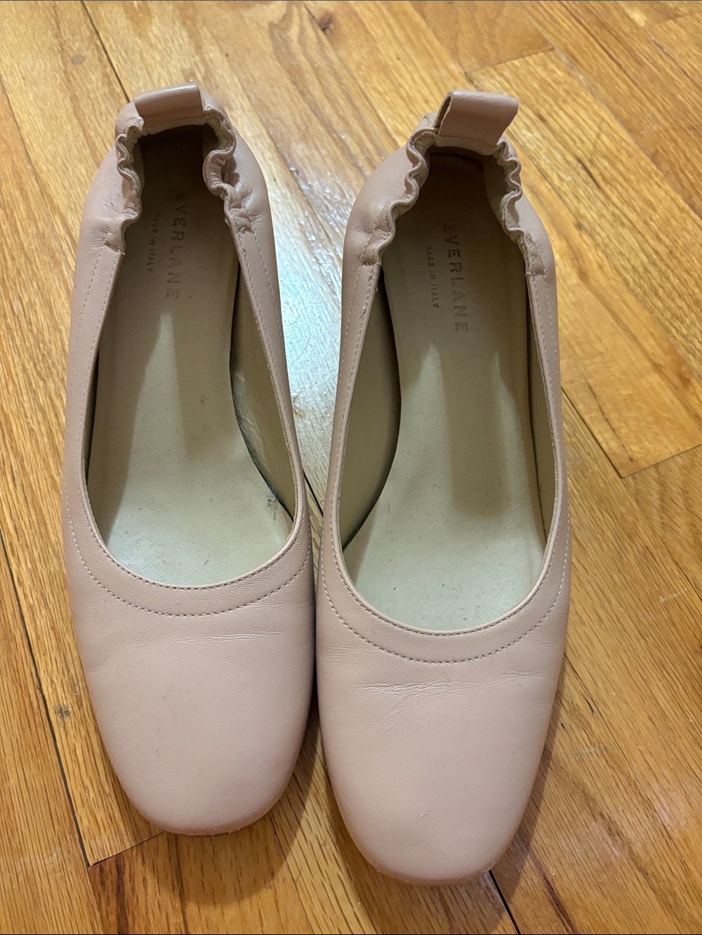 Everlane Blush Leather Ballet Flats with Elastic Heel